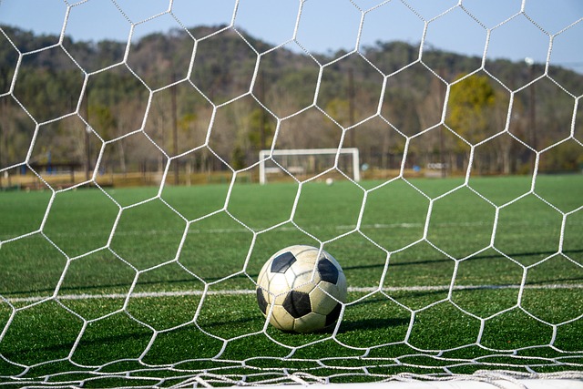 王子维在比 王子维在比