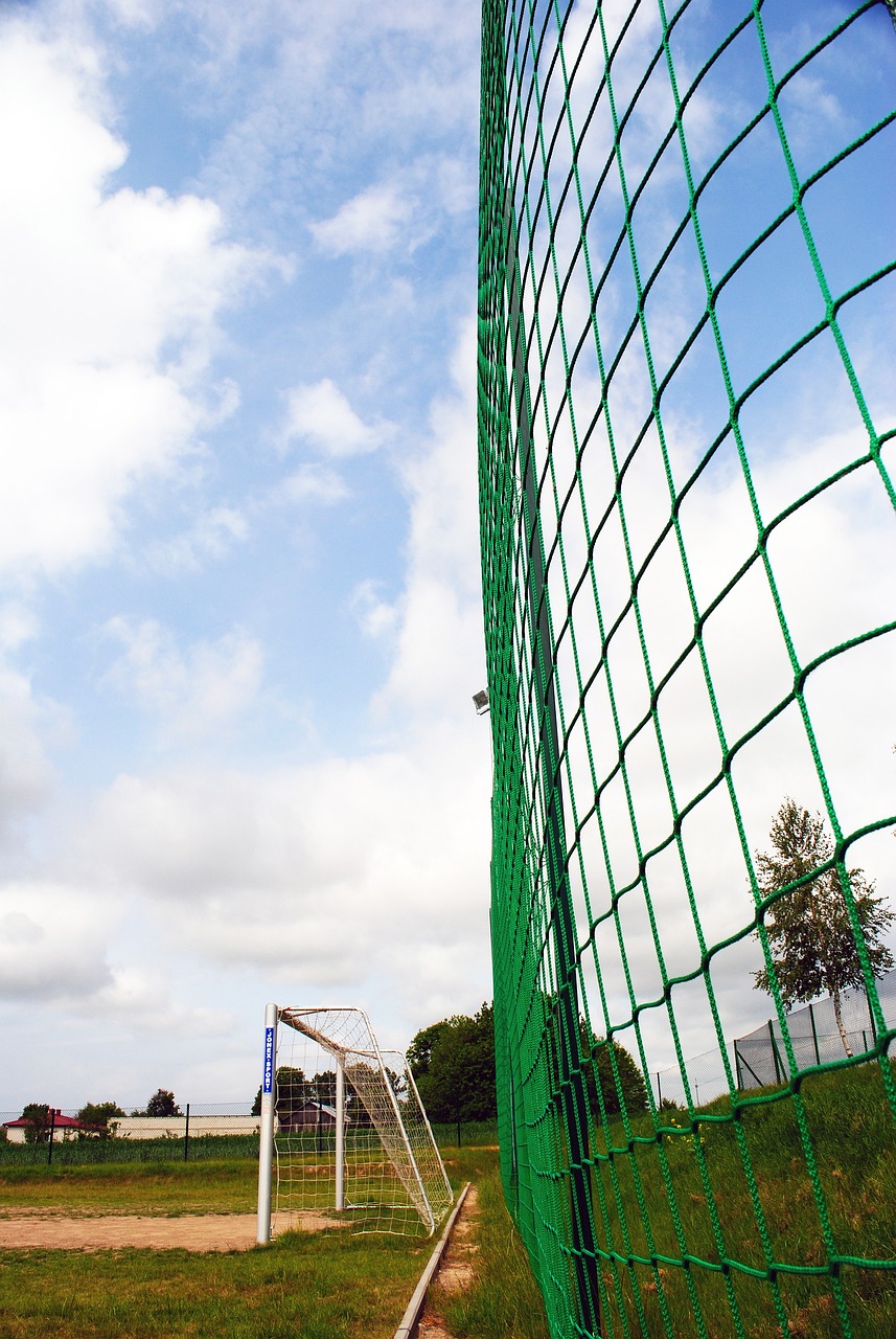 顽强的防守 顽强的防守