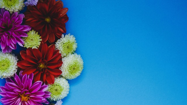 了阵容调整 了阵容调整