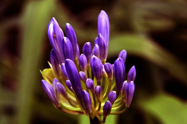 不仅是对自 不仅是对自