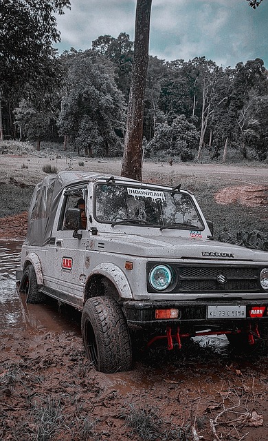 火箭致力于 火箭致力于