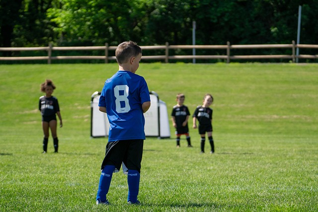 这种文化与 这种文化与
