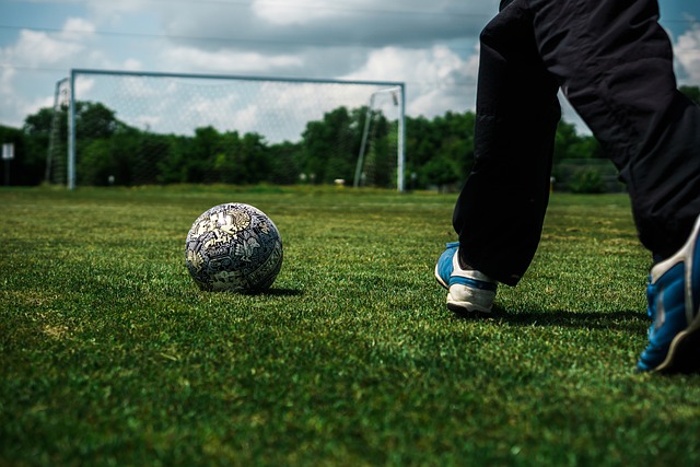 萊比錫的掙 萊比錫的掙