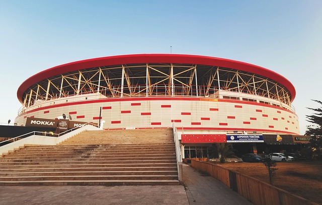 的国际魅力 的国际魅力